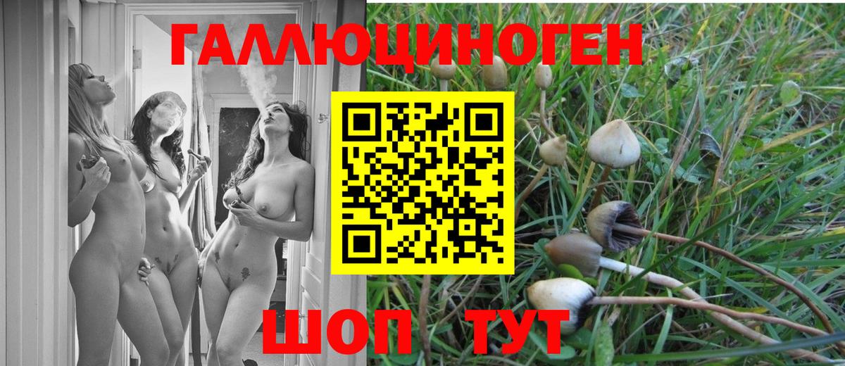 Улан-Удэ  Псилоцибиновые грибы Psilocybine cubensis  Вход с VPN 
