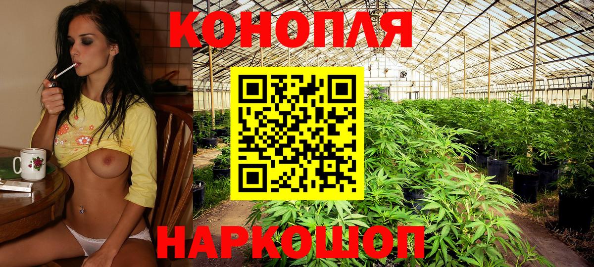 Улан-Удэ  Бошки марихуана гибрид  Вход с VPN  Каннабис OG Kush 